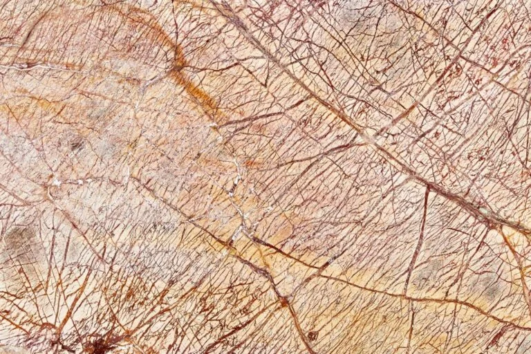 Rainforest Brown