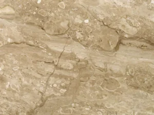 Breccia Sarda
