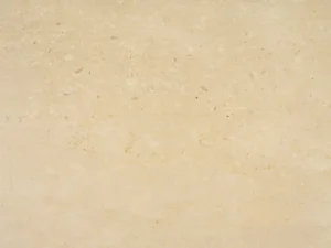 Trani Bronzetto